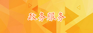 政务服务