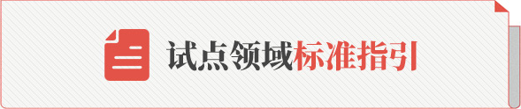 试点领域标准指引
